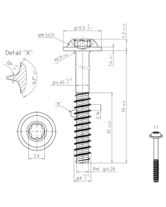 PLASTIC SCREW 6X50 A2 TORX